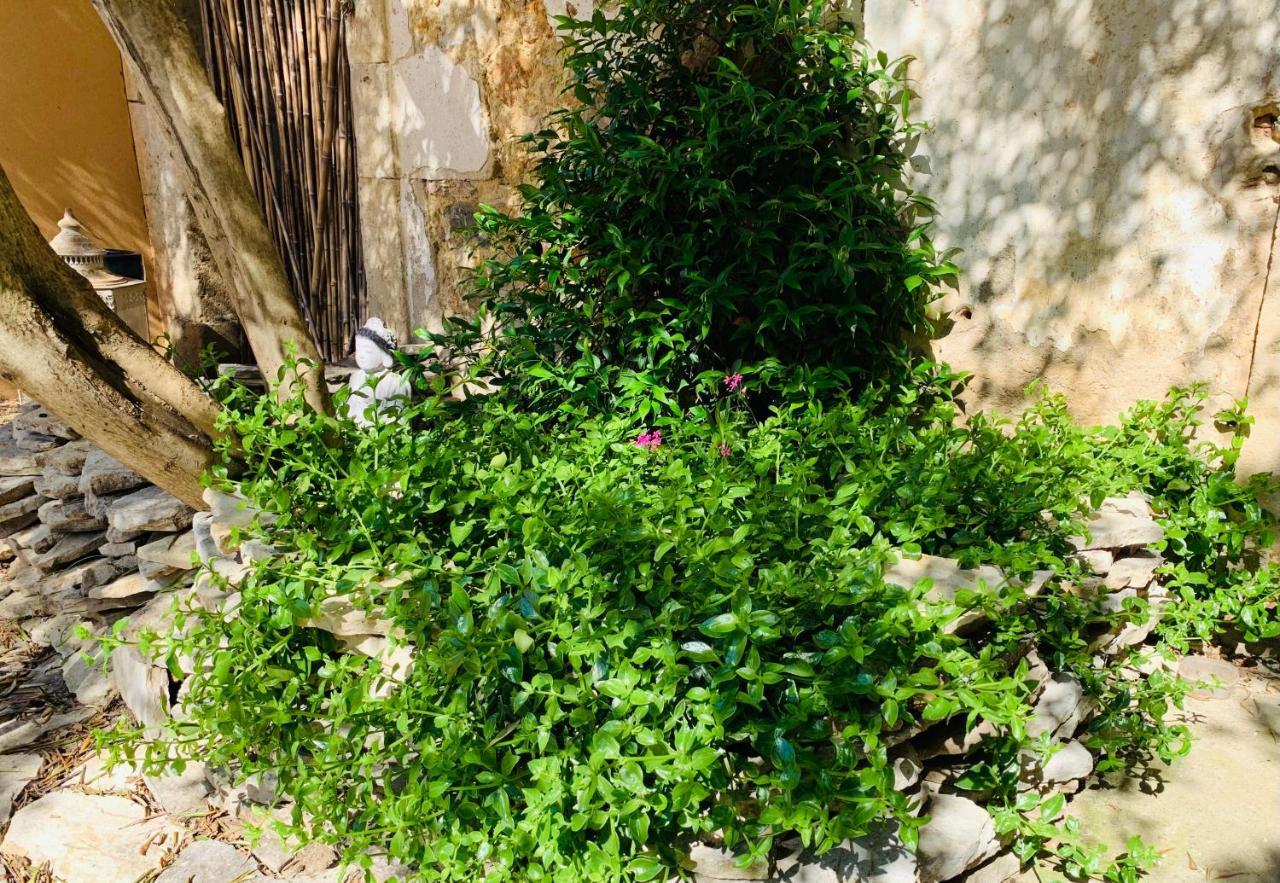 Appartement Avec Jardin Privatif Cazouls-les-Beziers ภายนอก รูปภาพ