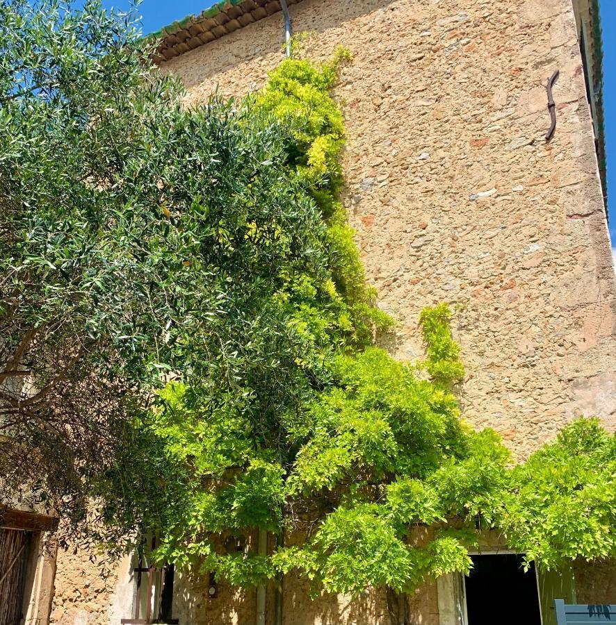 Appartement Avec Jardin Privatif Cazouls-les-Beziers ภายนอก รูปภาพ