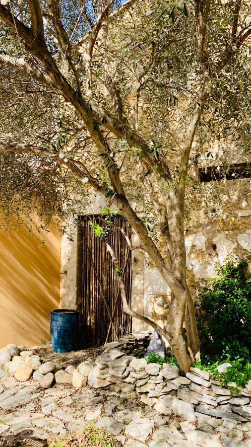 Appartement Avec Jardin Privatif Cazouls-les-Beziers ภายนอก รูปภาพ